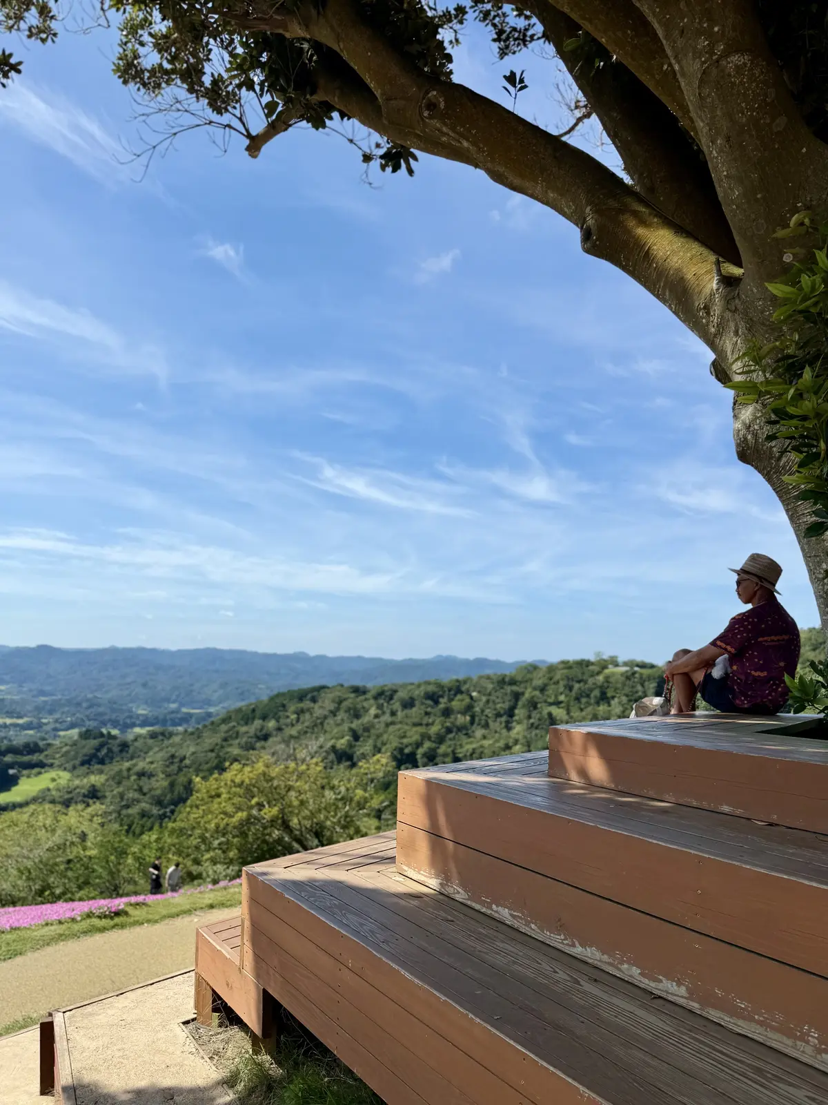 千葉県　観光名所　富津市　マザー牧場　花の谷　木陰　ウッドデッキ