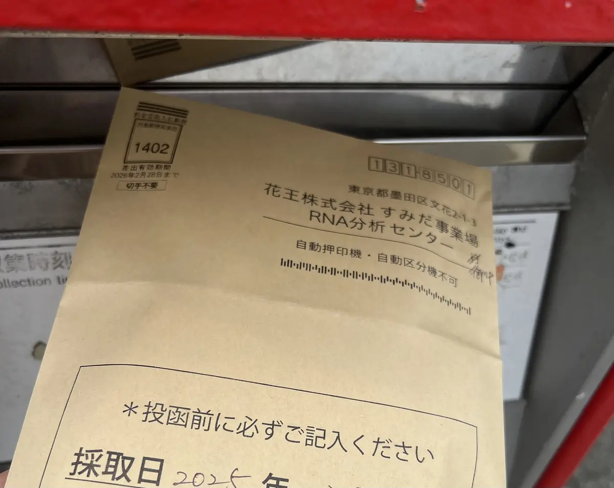 自分の肌が愛おしくなる。花王の最先端肌解の画像_6