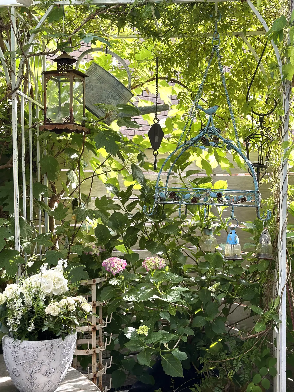 春から初夏へ・・・の画像_14