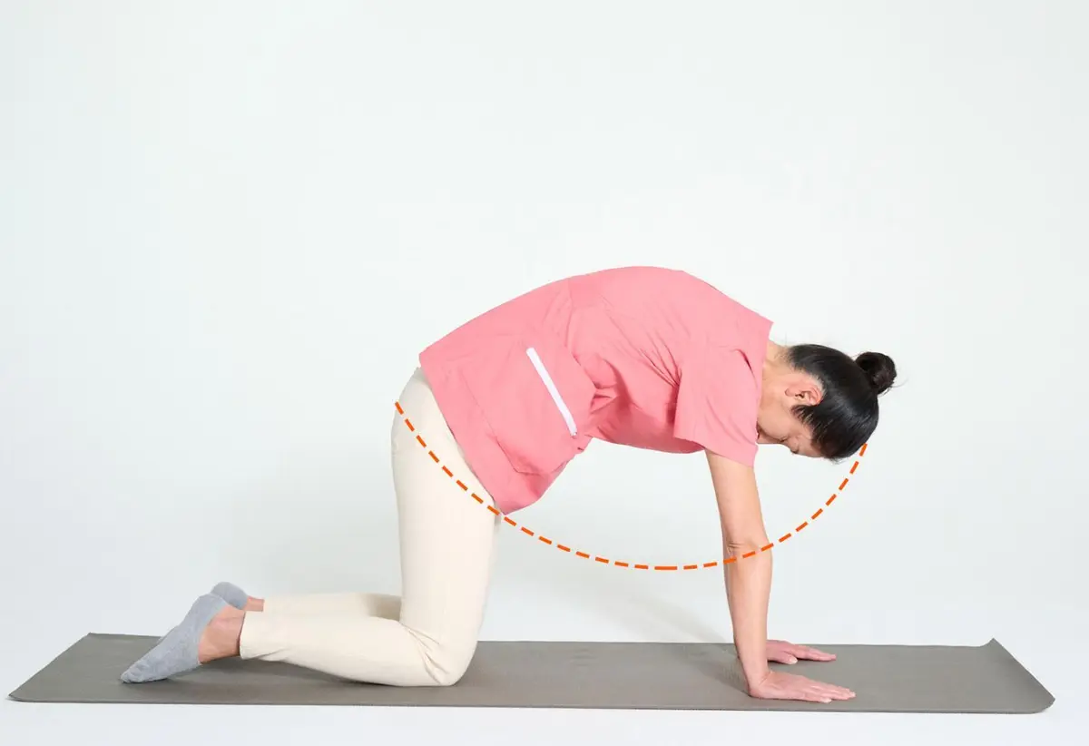 OurAge×Webエクラ　③次に、息を吐きながら、手で床を押して猫のように背中を丸め、左右の坐骨を近づけます。頭から尾骨までが②と逆の、下向きの半円を描くイメージで背中を丸めましょう。この②〜③をゆっくり5～10回繰り返します。