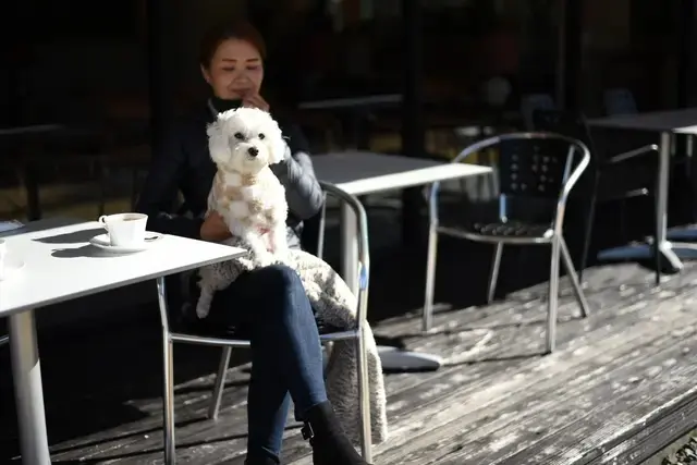 箱根ハイランドホテル テラス席
