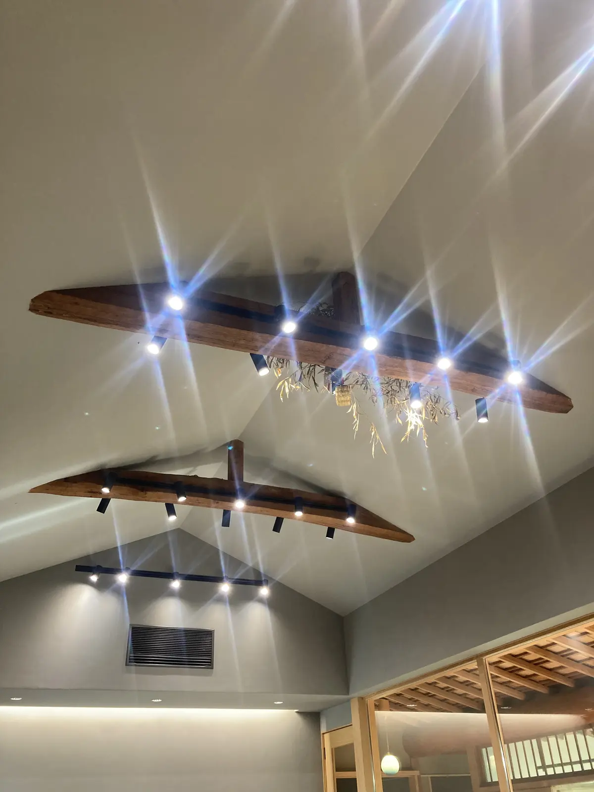 庭の匠にご指導いただく寄せ植えワークショの画像_12