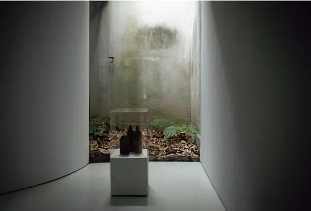 【50代の心を育てる京都旅】本物の美を見の画像_16