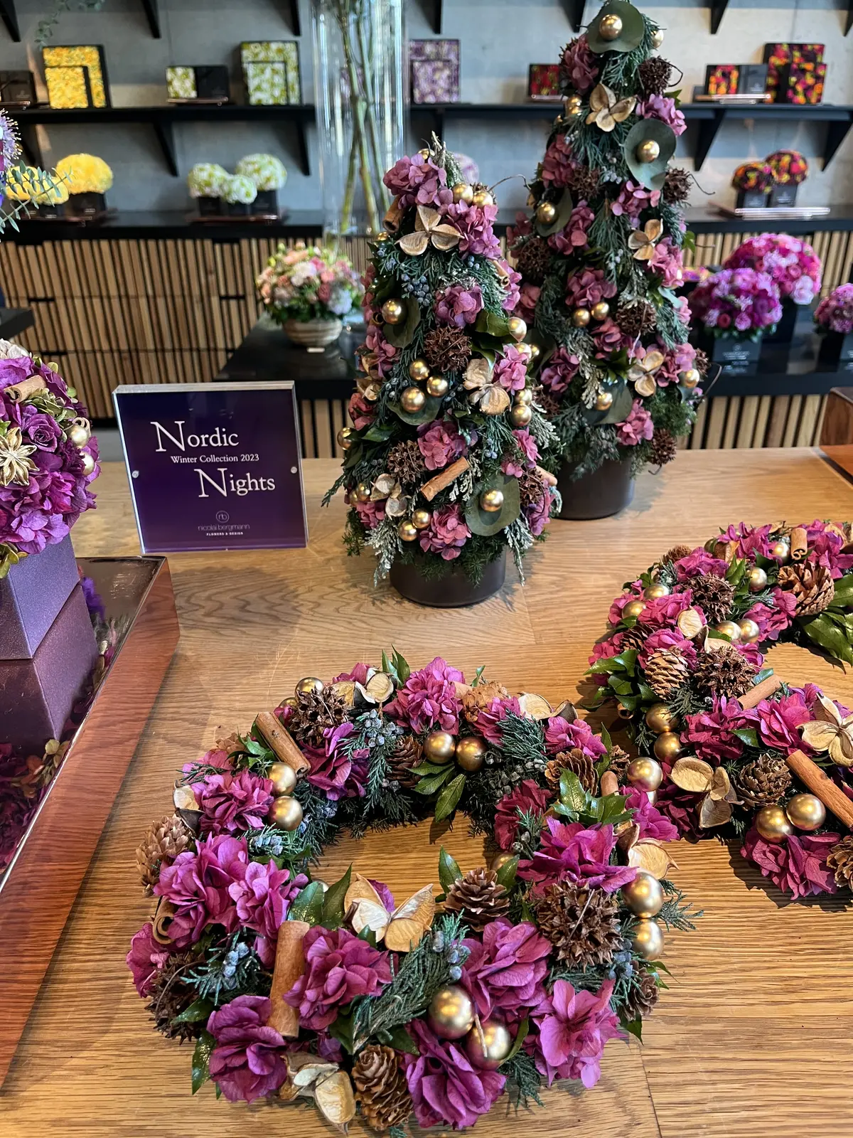 初のニコライ先生のレッスンへの画像_11