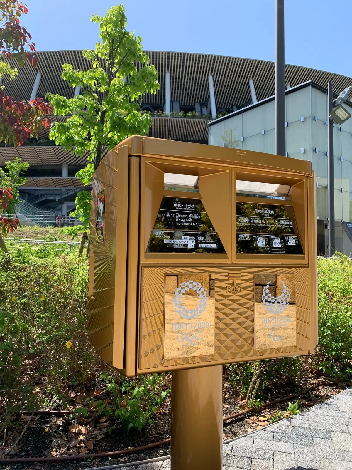 新緑の季節の画像_5