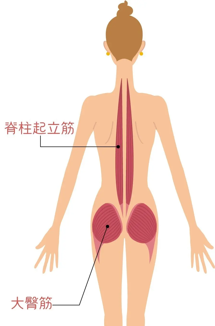 OurAge×Webエクラ