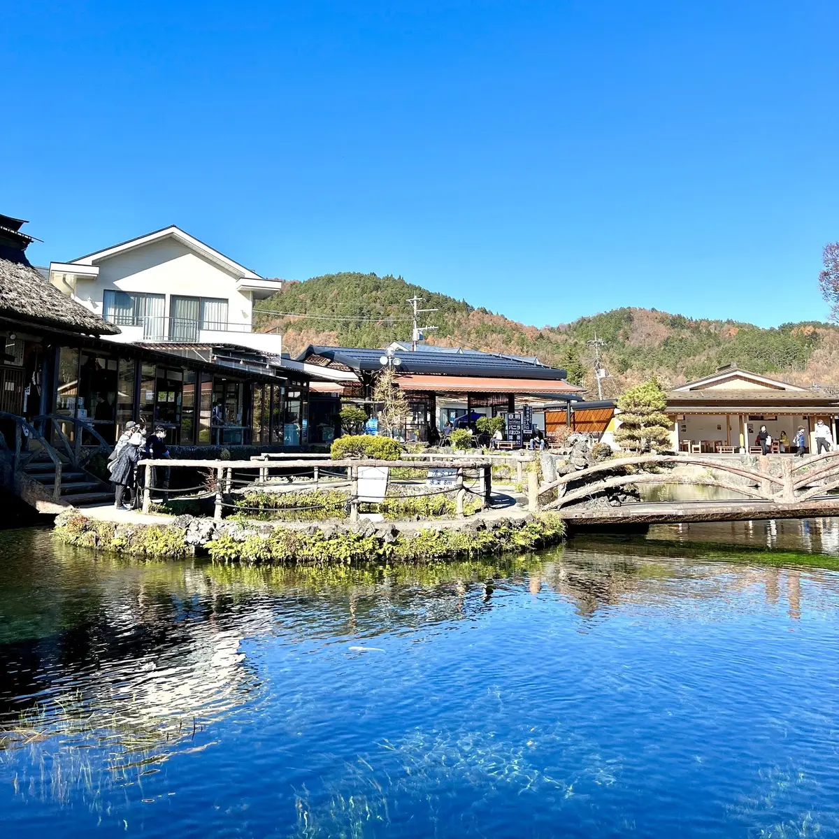 忍野八海「中池」