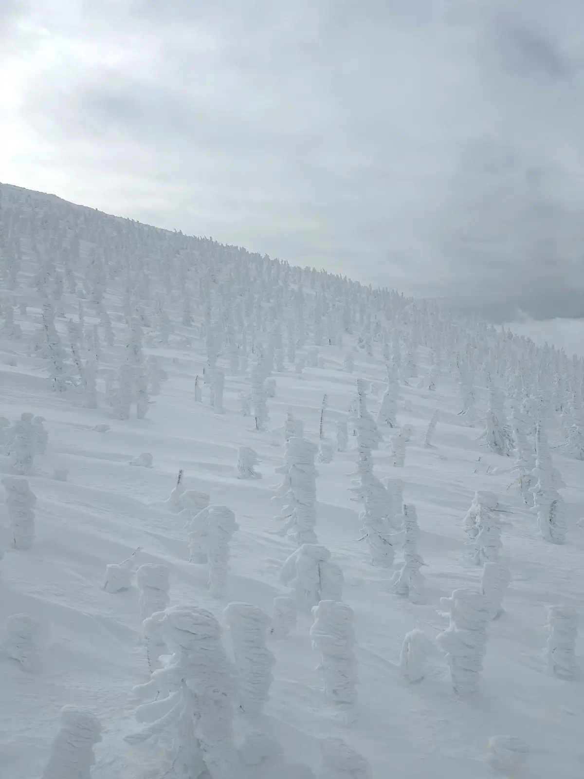樹氷と美肌の湯を楽しむ♡山形県蔵王への旅の画像_9