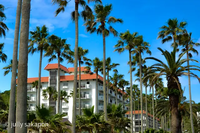 【さかほんの冒険】南国Hawaii？！❤の画像_2