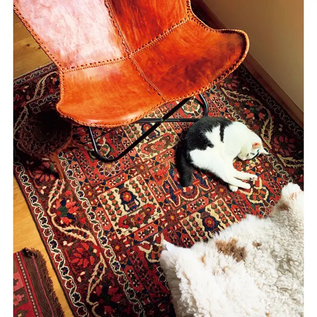 2階の広々としたリビング。お客さまがいないときは、日がなここでくつろいでいる