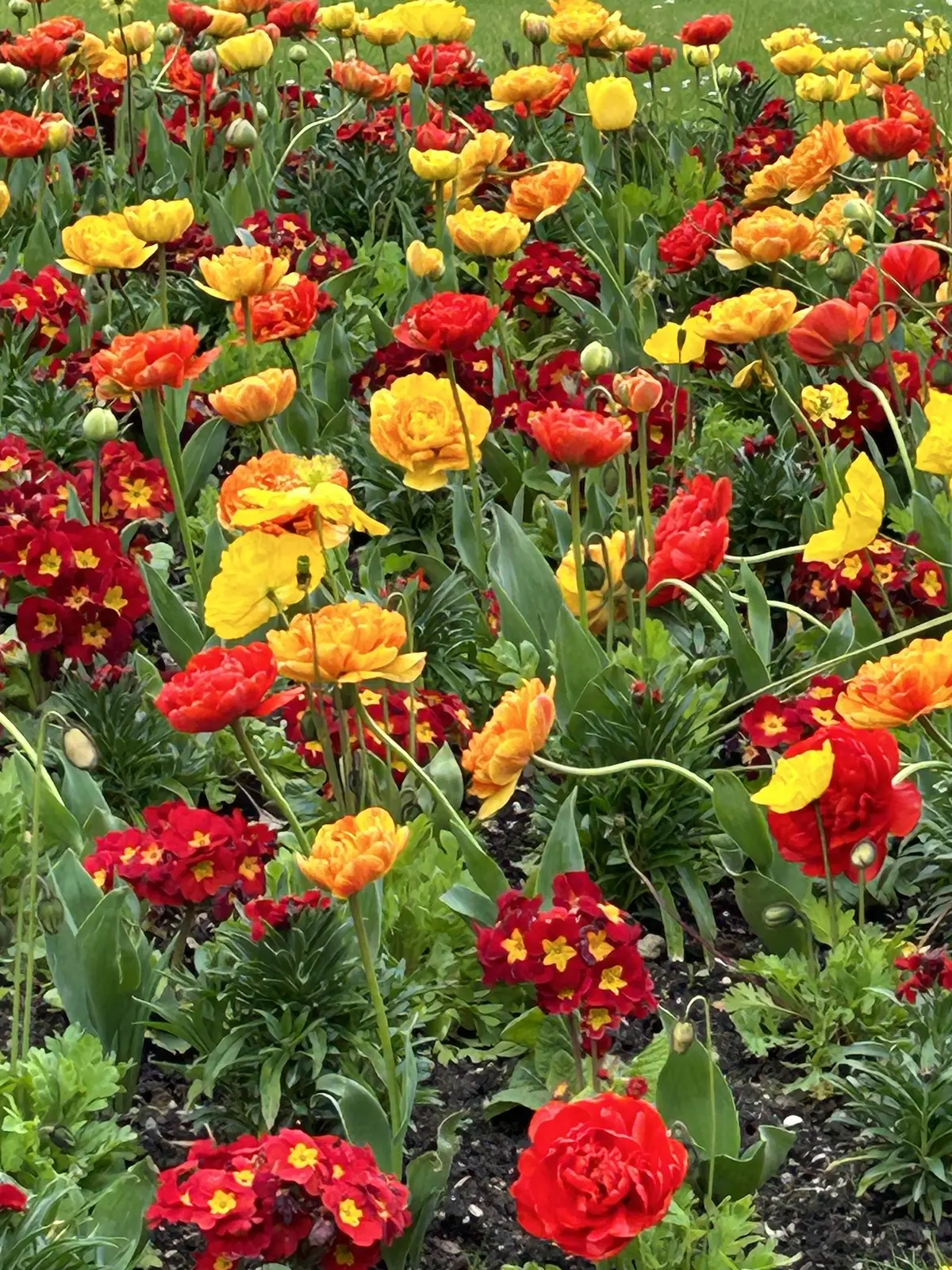 Netflix  「Emily in Paris（エミリーパリへ行く）」