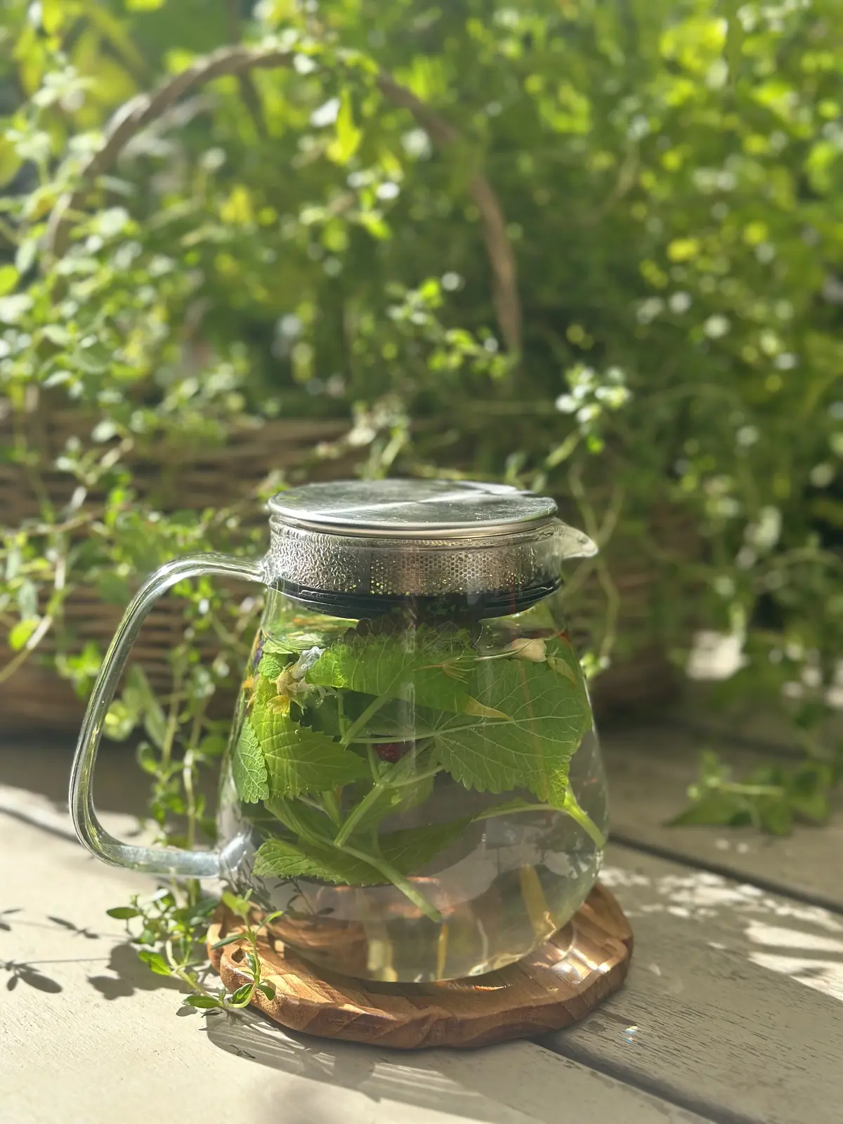 ハーブのある暮らし・・NO HERB Nの画像_6