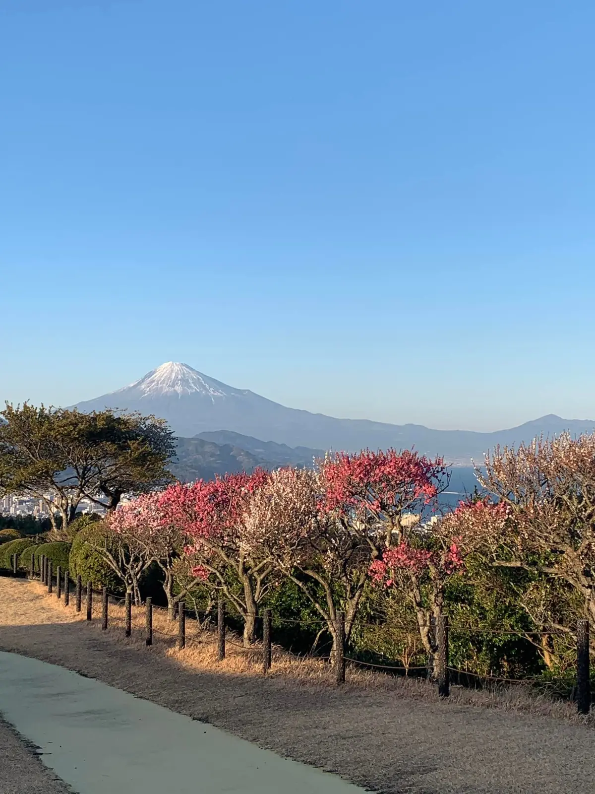 風景美術館。風景を楽しむためのホテルへ。の画像_5