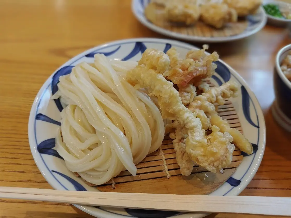 奈良　桜井市　与喜饂飩　いか天ざるうどん