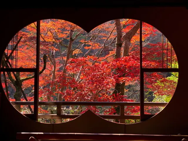 絶対一度は行ってみて欲しい！紅葉の嵐山 の画像_8