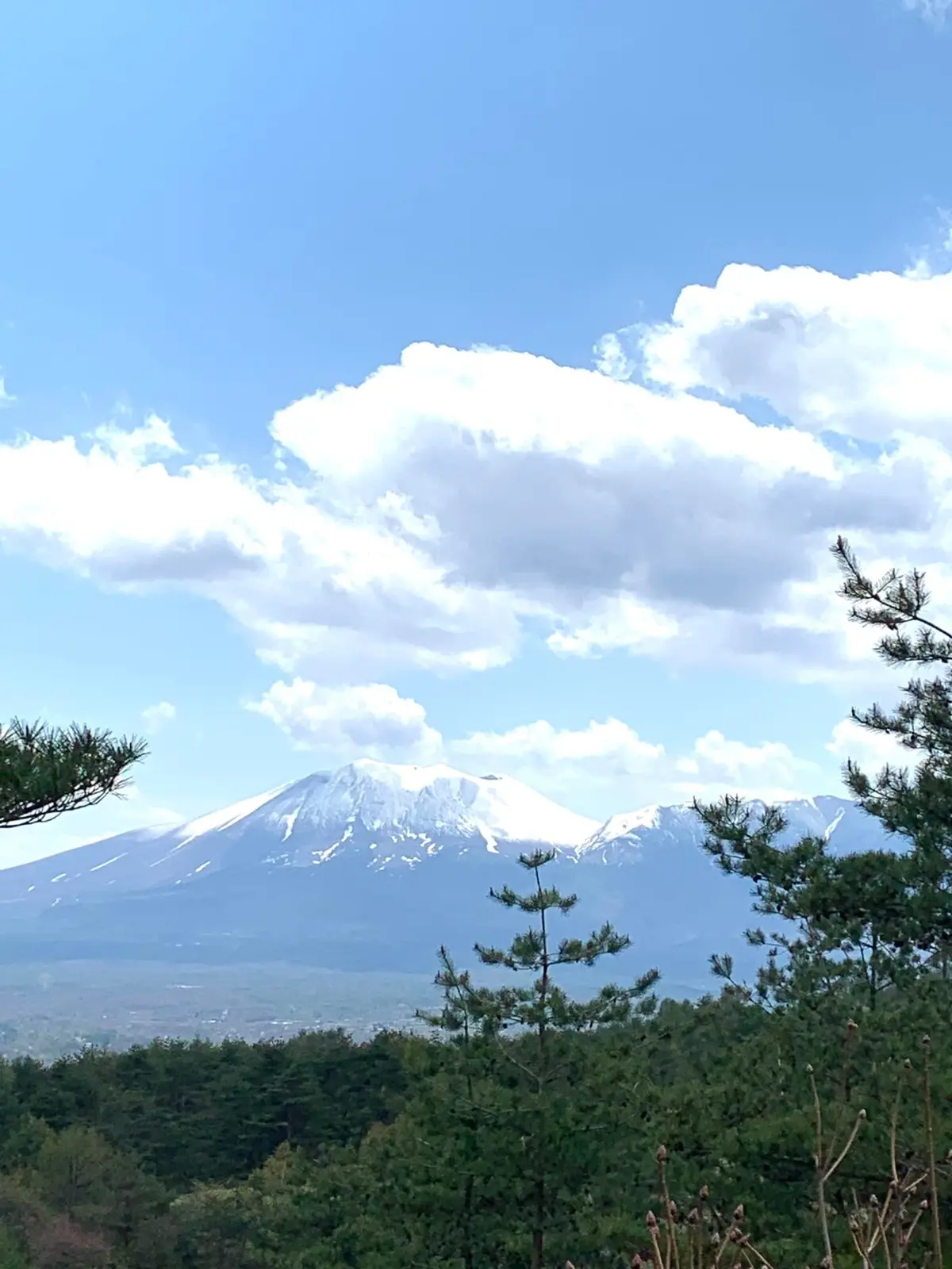 GWは桜と雪と温泉比べの群馬の旅へ。の画像_2