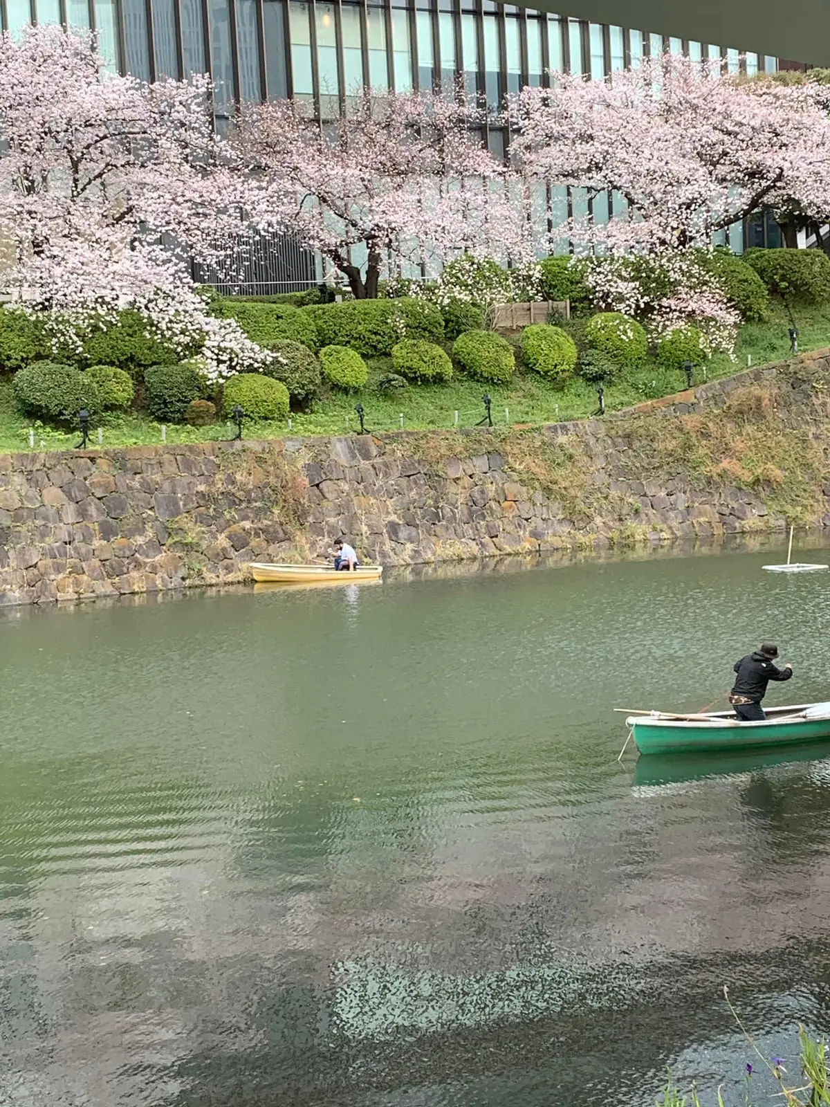 スーパーケーキを１口サイズでいろいろ楽しの画像_2