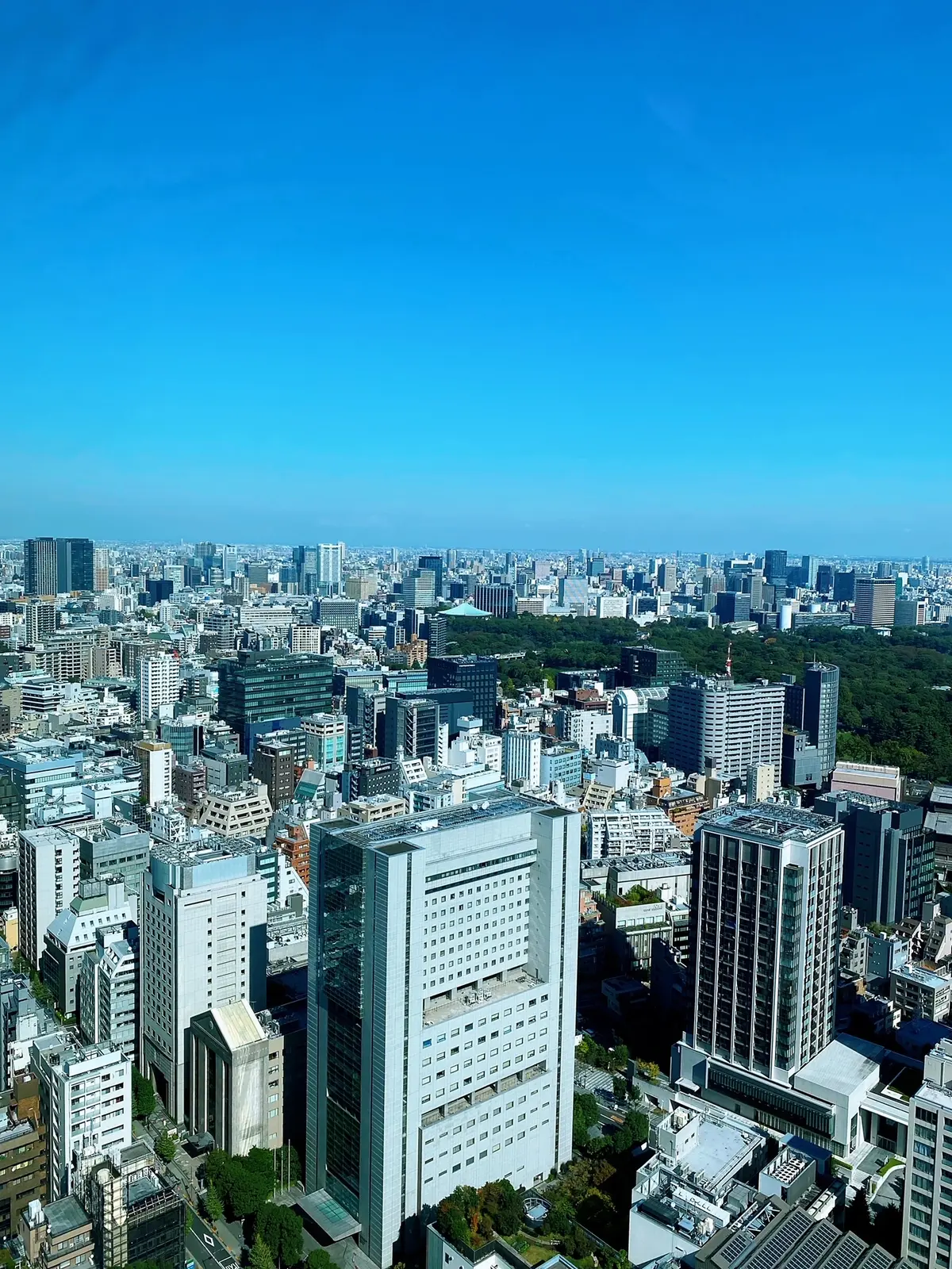 オアシスガーデン/ザ・プリンスギャラリーの画像_1