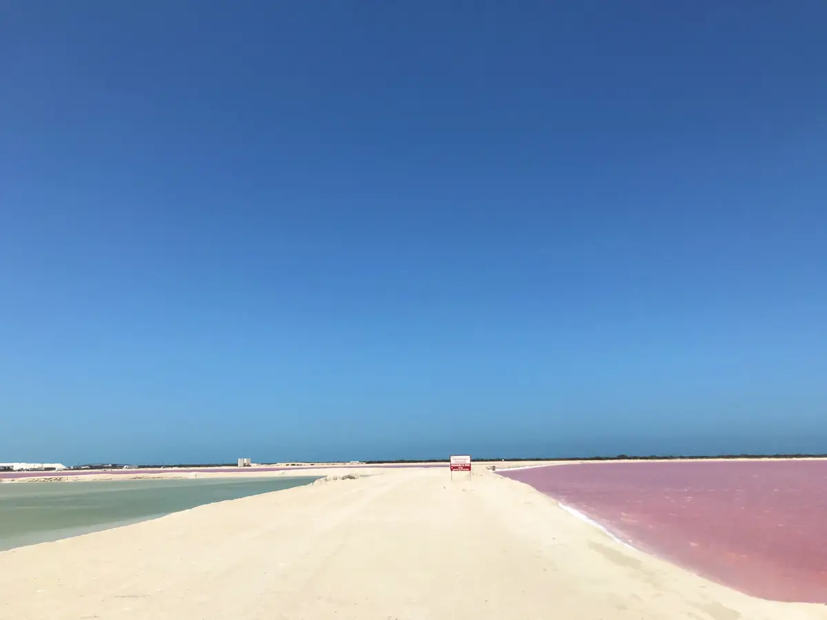 メキシコのピンクレイク②