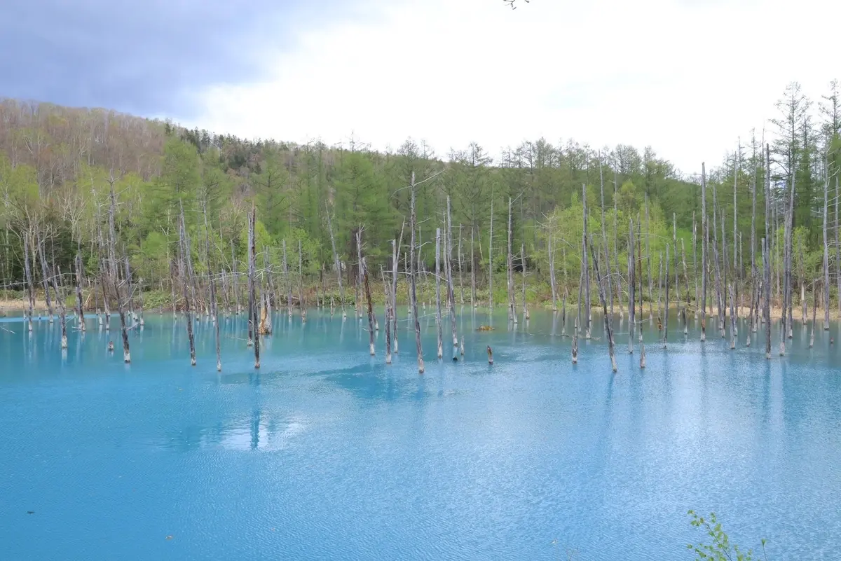 初体験！秘境の秘湯！混浴露天風呂！の画像_4