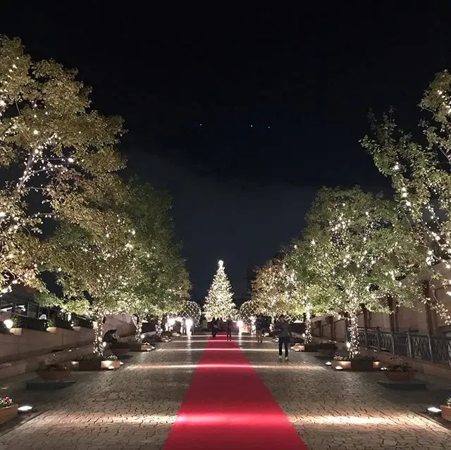 圧巻！ バカラの巨大シャンデリアです。の画像_5