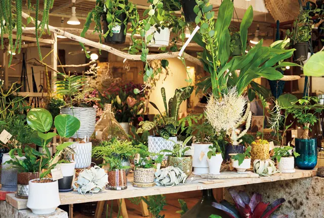 おすすめグリーンショップ　ブリキのジョーロ