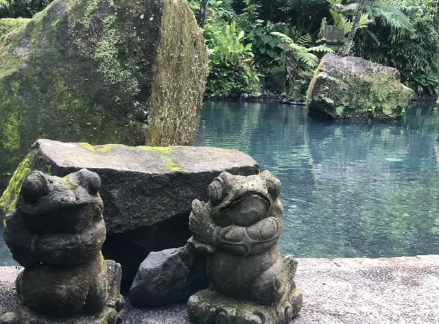 ホーリープール