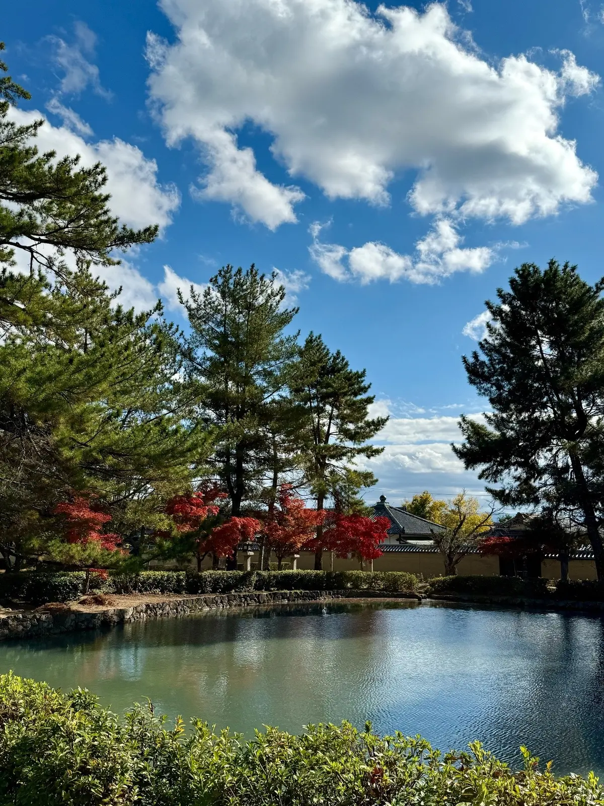 【大人旅 奈良】1300年以上の歴史を持の画像_27