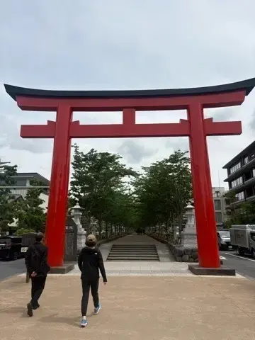 新緑眩しい鎌倉ハイキングに出掛けませんか？