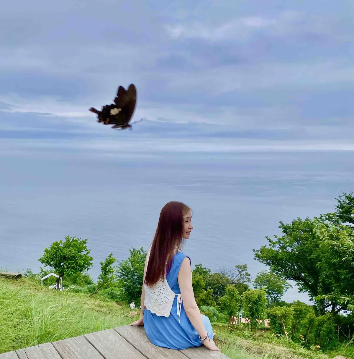 熱海アカオリゾート公園　偶然蝶が映り込んだ！