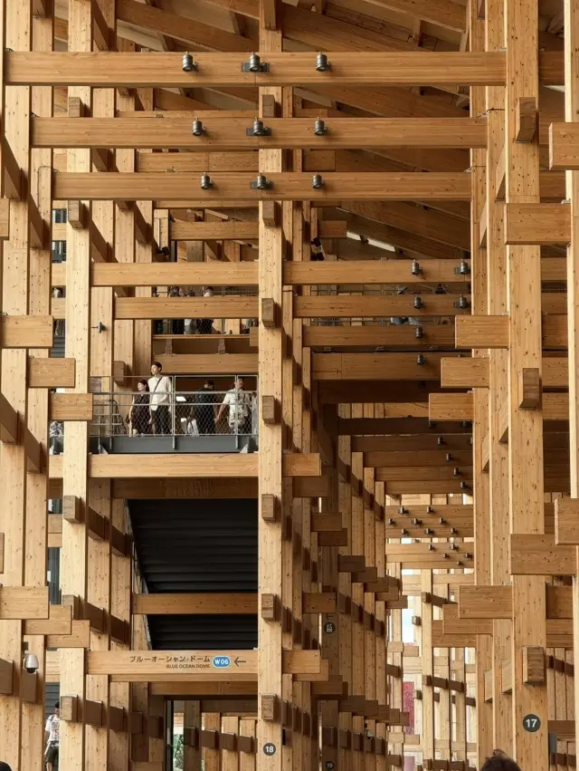 夜間パスで駆け込み、ワクワク関西万博！前の画像_5