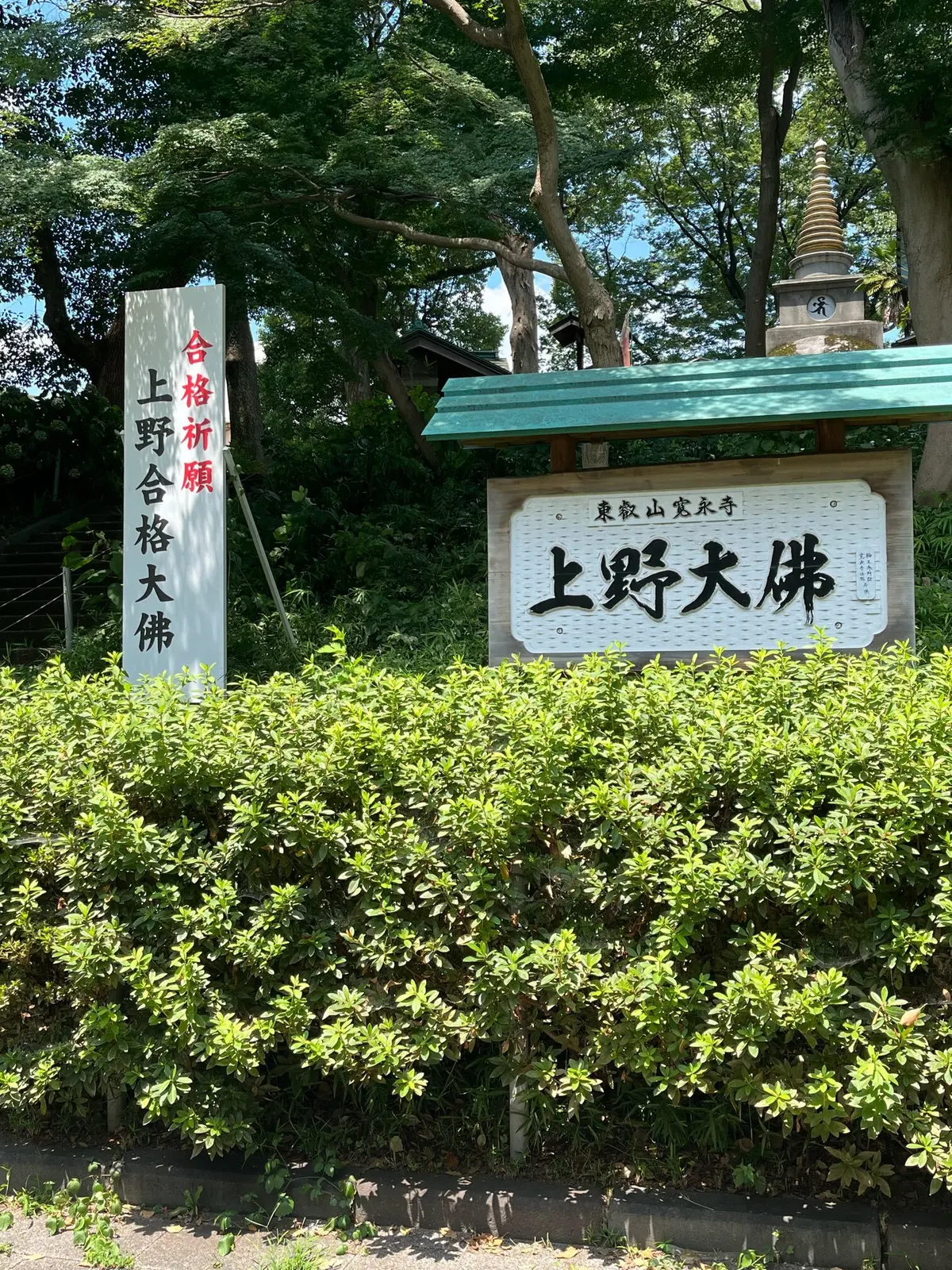 【神活】効果絶大！上野でたった30分しかの画像_11