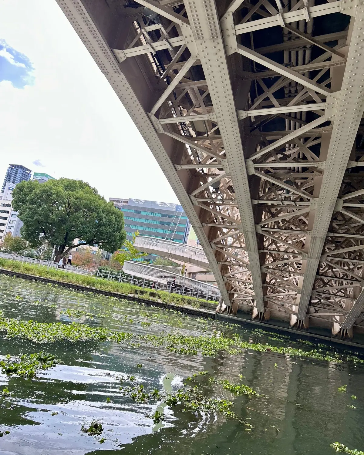 大阪・中之島の魅力を楽しむユニークなリバの画像_5