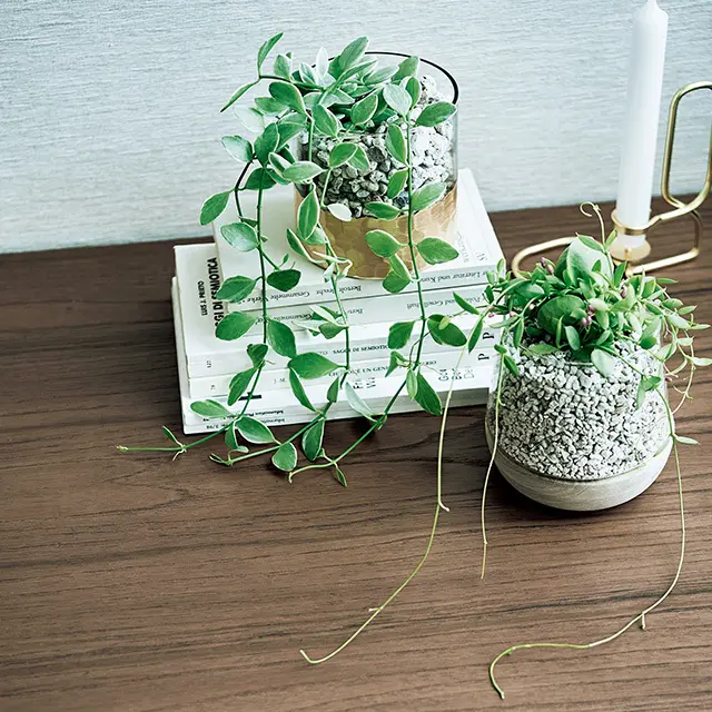 小さなグリーン