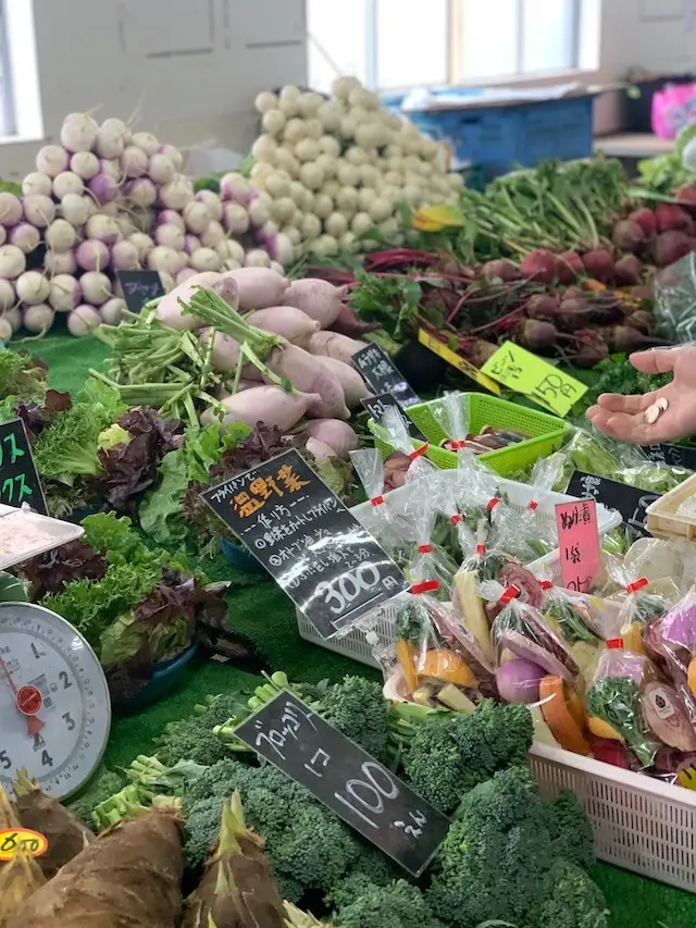 鎌倉　鎌倉野菜　鎌倉廉売　