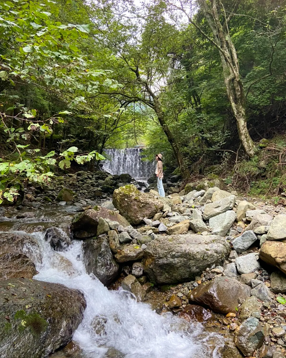 おすすめ！愛犬とのキャンプ♪の画像_1