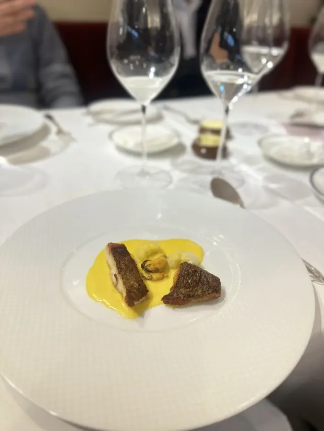 セットアップワンピースで広尾フレンチレスの画像_8