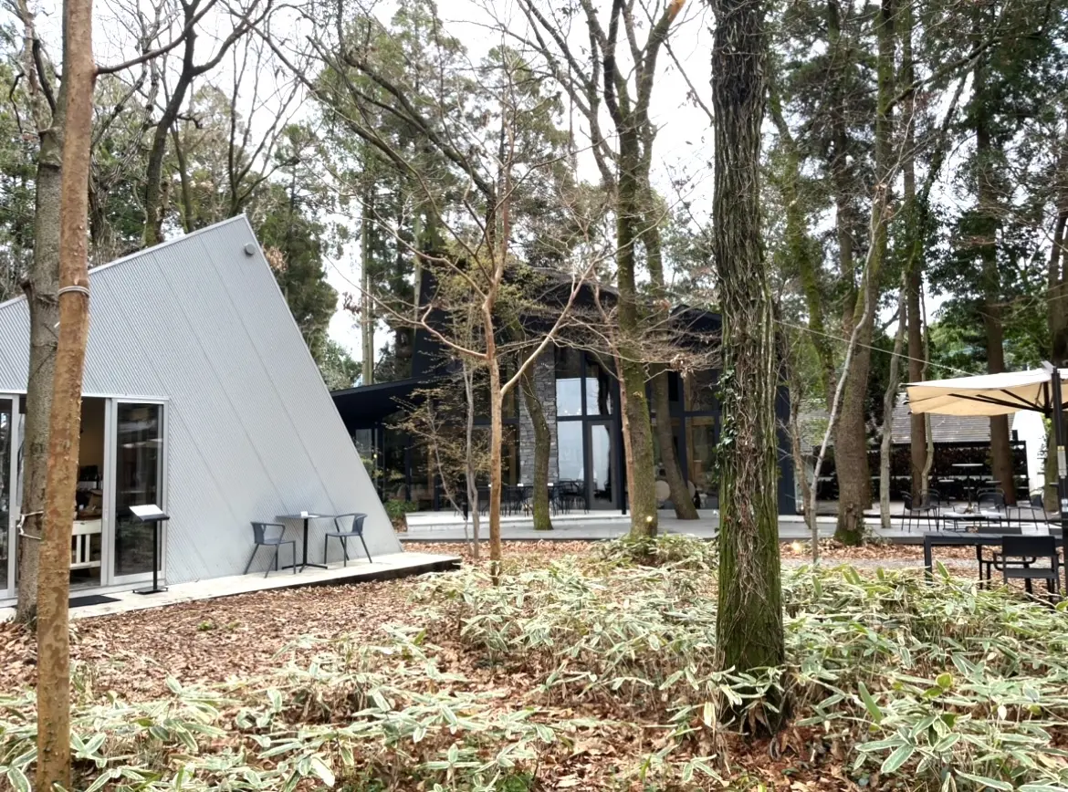 熊本・阿蘇の旅〜2着のワンピースの画像_5