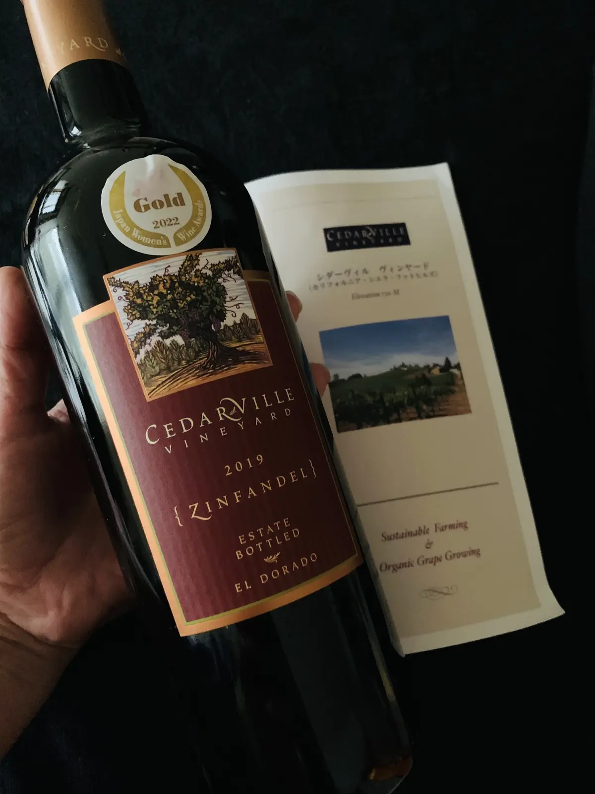 大人の遠足〜薔薇とワインを楽しむ会〜の画像_22