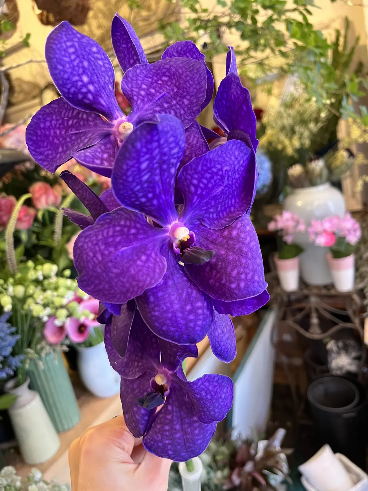 特別なブーケの画像_2