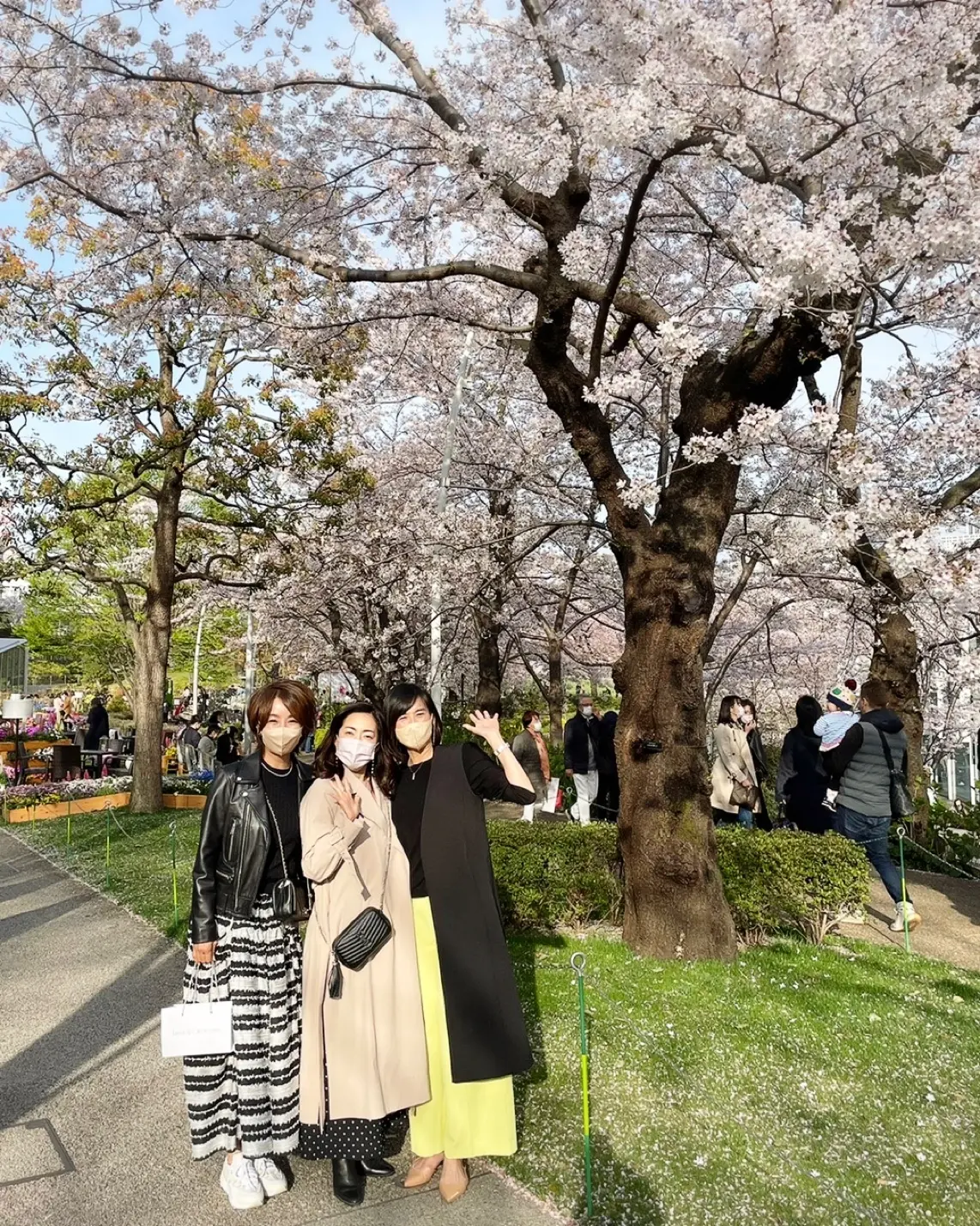 お花見&お誕生日のお祝い☆華組ランチの画像_2