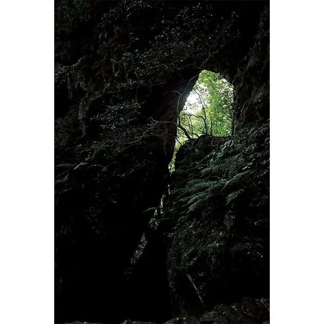 【神在月の出雲旅まとめ】一生に一度は、その画像_27