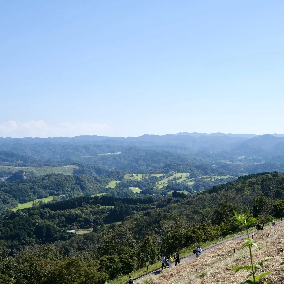 千葉県の「マザー牧場」内からの景色