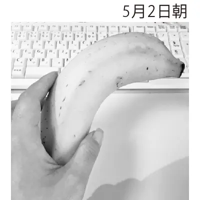 食事モニタリング