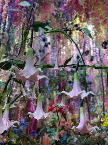 芸術鑑賞Dayで癒されるの画像_11