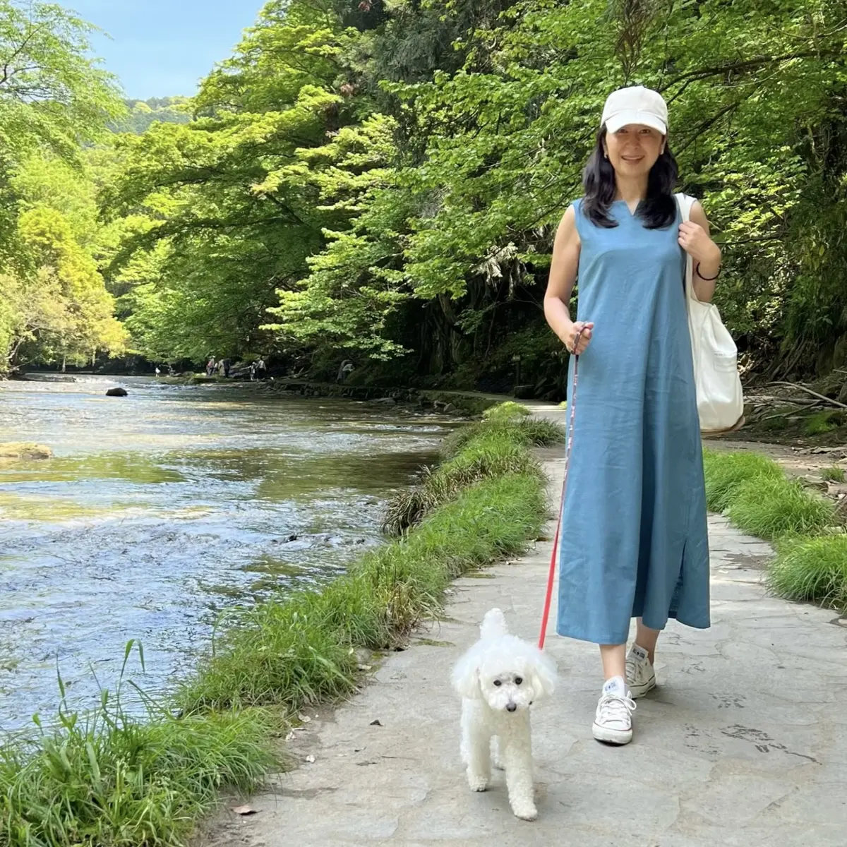 千葉にある養老渓谷、白いトイプードル、私