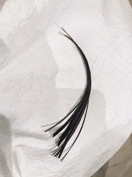 久しぶりのヘアカット♪の画像_3