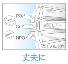 丈夫に