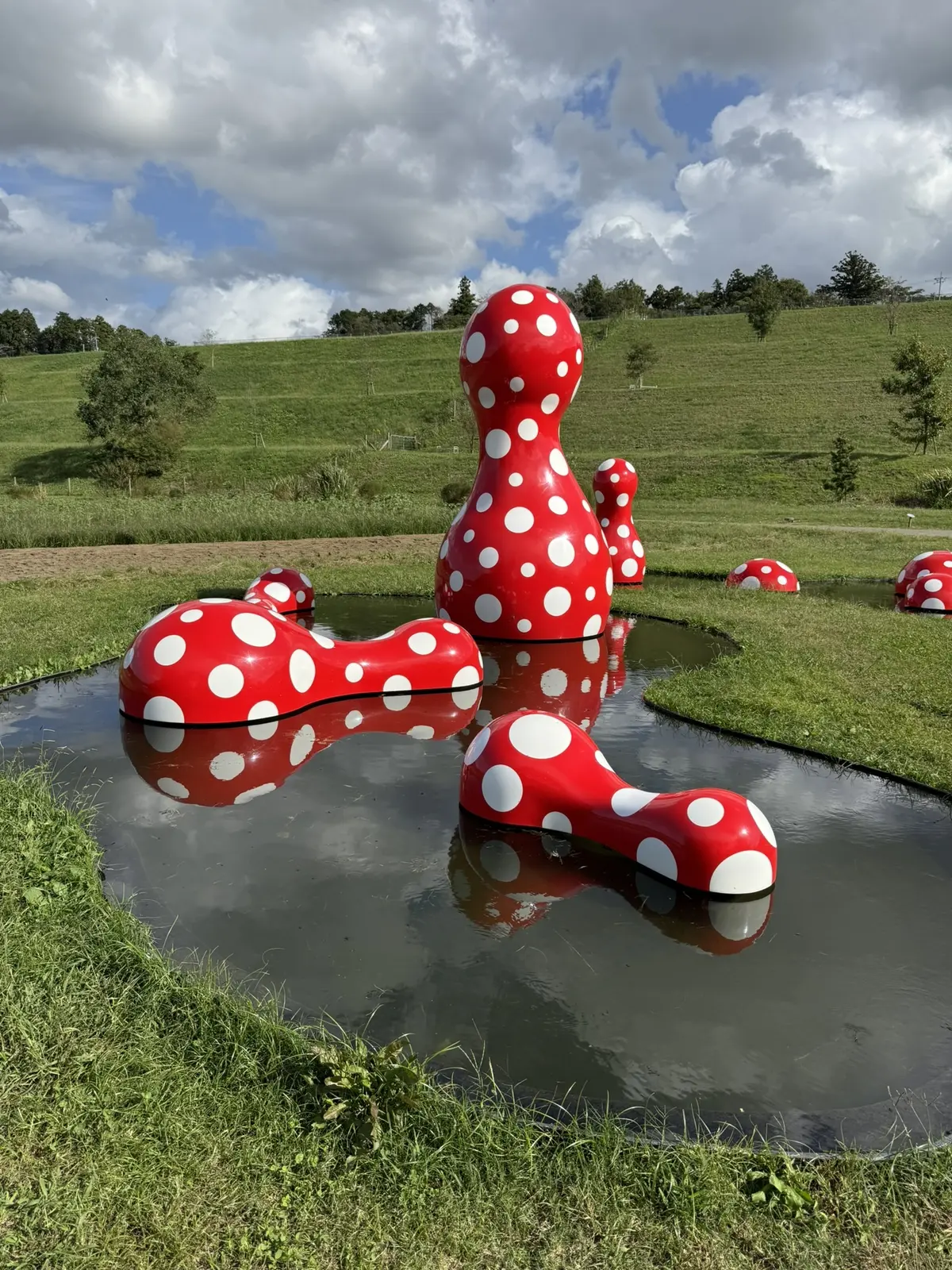 クルックフィールズ　草間彌生