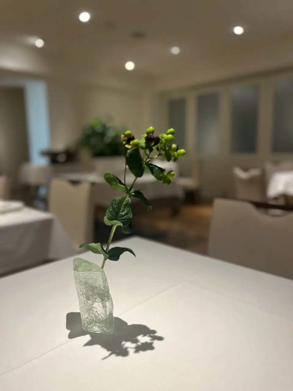 夏が待ち遠しくなるZARAのワンピース♪の画像_19